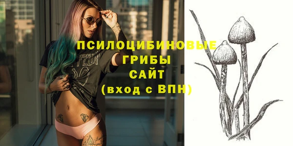 прущая мука Карпинск